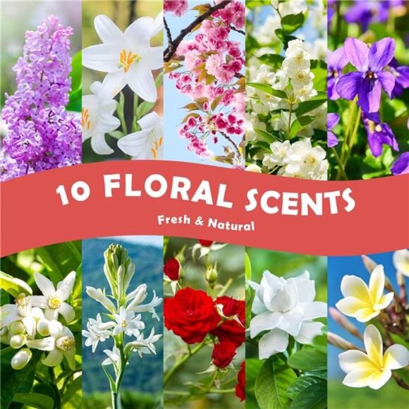 Floral Essential Oils, Holamay Premium Fragrance Oil for Candle Making, 5mlx10 - Picture 2 of 7